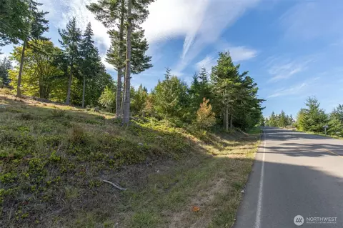 346 Ravens Ridge Rd, Sequim, WA 98382 photo 9