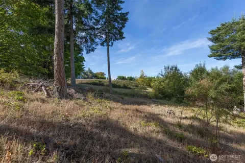 346 Ravens Ridge Rd, Sequim, WA 98382 photo 12