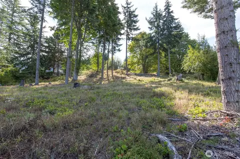 346 Ravens Ridge Rd, Sequim, WA 98382 photo 11