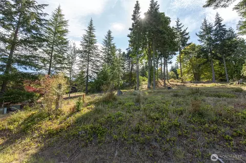 346 Ravens Ridge Rd, Sequim, WA 98382 photo 19