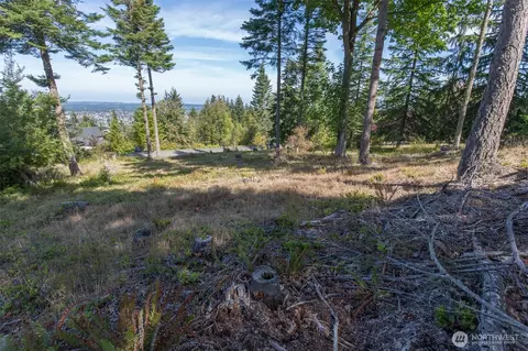 346 Ravens Ridge Rd, Sequim, WA 98382 photo 8