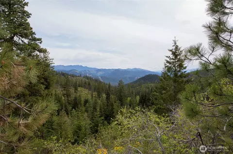 0 Forest Service 6601-550 Rd #C, Leavenworth, WA 98826