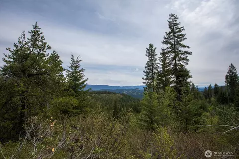 0 Forest Service 6601-550 Rd #D, Leavenworth, WA 98826