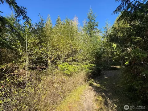 9999 Hooker Rd, Sequim, WA 98382 photo 26