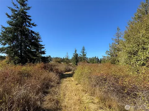 9999 Hooker Rd, Sequim, WA 98382 photo 30