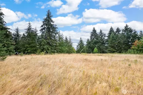 0 Case Rd SW, Rochester, WA 98579