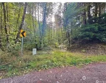 1085 N Lake Cushman Rd, Hoodsport, WA 98548
