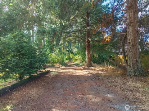 18812 8th Ave E, Spanaway, WA 98387 photo 38