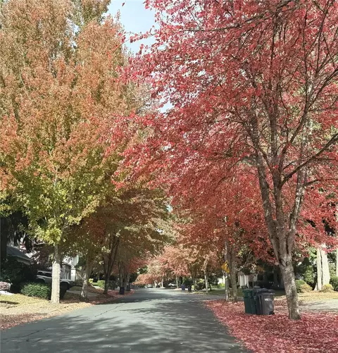 View/Area - 15505 33rd Ave SE, Mill Creek, WA 98012 photo 1 of 2