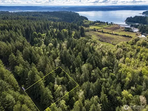 12204 Sound Dr, Anderson Island, WA 98303
