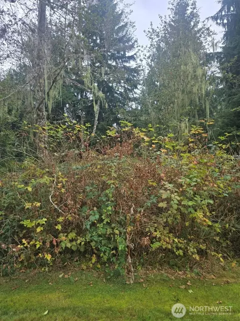 24810 Clear Creek Rd, Darrington, WA 98241