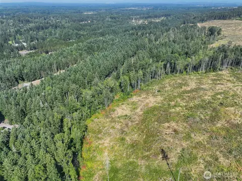 0 369th St E, Roy, WA 98580 photo 5