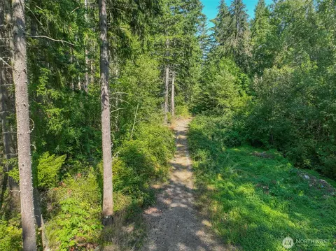 0 369th St E, Roy, WA 98580 photo 6