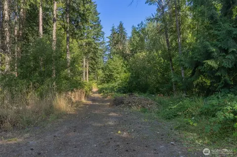 0 369th St E, Roy, WA 98580 photo 10