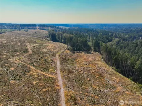 0 369th St E, Roy, WA 98580 photo 7