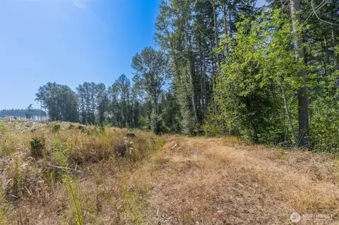 0 369th St E, Roy, WA 98580 photo 11