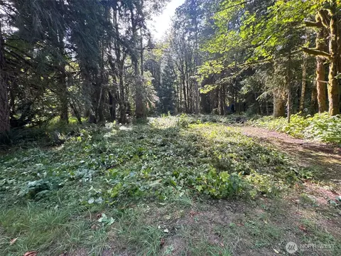 63645 NE 190th St, Baring, WA 98224