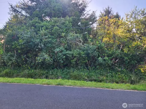 307 Centaurus Ave SW, Ocean Shores, WA 98569