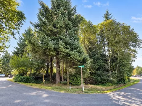 339 Redwood Ct SE, Ocean Shores, WA 98569