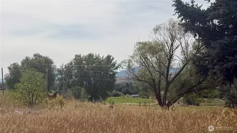 Other - 762 Twisp-winthrop Eastside Rd, Winthrop, WA 98862 photo 10 of 16