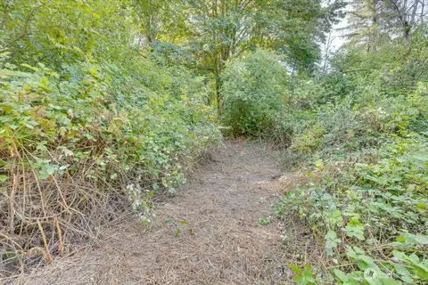 125 Nn Roosevelt Rd, Monroe, WA 98272 photo 4
