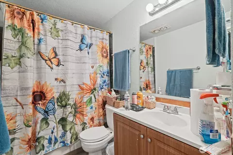 Bath - 4825 221st St E, Spanaway, WA 98387 photo 2 of 2