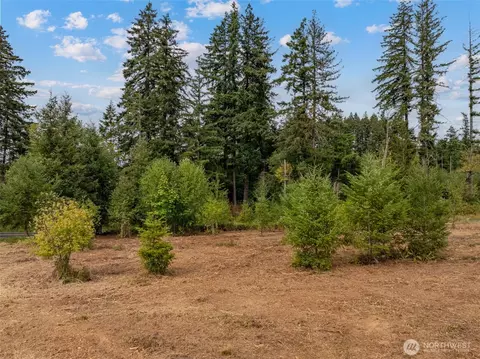 489 Yates Rd, Chehalis, WA 98532 photo 14