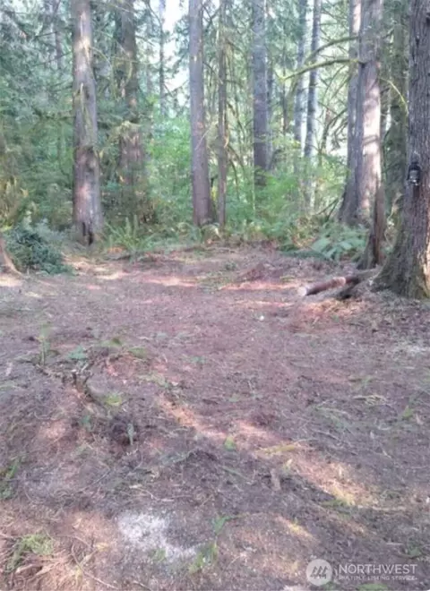 0 W Blueberry Ln, Shelton, WA 98541