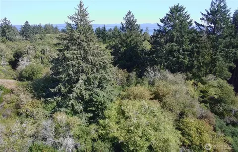 0 Oysterville Rd, Oysterville, WA 98641