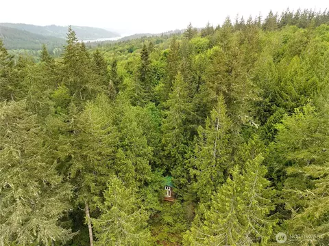 0 Taison Ln, Quilcene, WA 98376