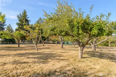 Exterior - 310 S Scott Dr, Sequim, WA 98382 photo 7 of 9