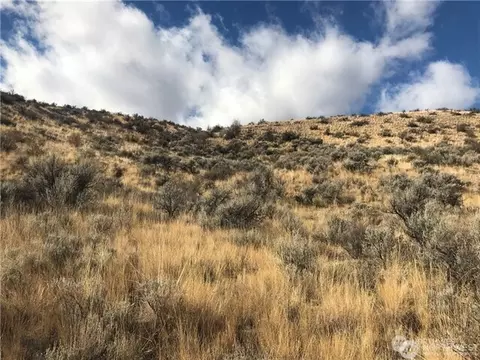 0 Goldfish Gulch Rd, Waterville, WA 98802