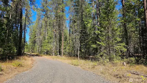 385 X Agar Rd, Loon Lake, WA 99148