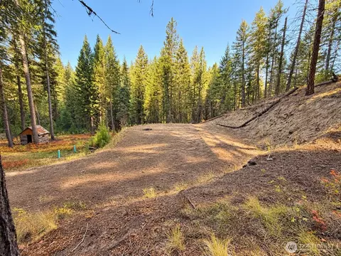 Exterior - 0 W Fork Rd, Conconully, WA 98819 photo 3 of 5