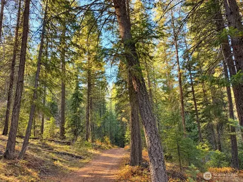Other - 0 W Fork Rd, Conconully, WA 98819 photo 3 of 4