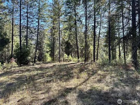 4 Lot 4 Deadman Creek Rd, Kettle Falls, WA 99141 photo 14
