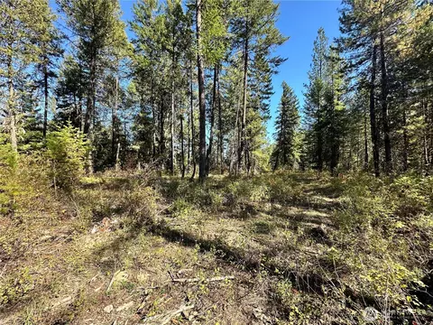 4 Lot 4 Deadman Creek Rd, Kettle Falls, WA 99141 photo 9