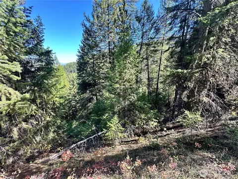 4 Lot 4 Deadman Creek Rd, Kettle Falls, WA 99141 photo 15