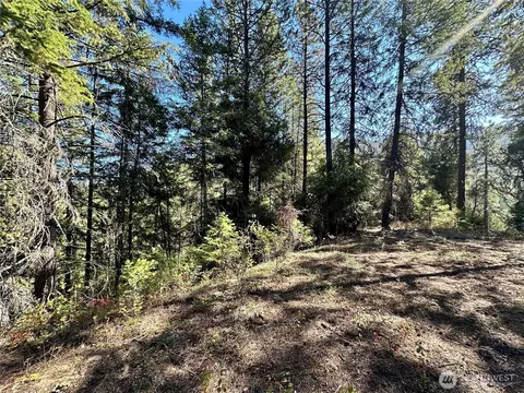 4 Lot 4 Deadman Creek Rd, Kettle Falls, WA 99141 photo 16