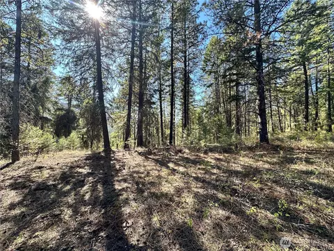 4 Lot 4 Deadman Creek Rd, Kettle Falls, WA 99141 photo 17