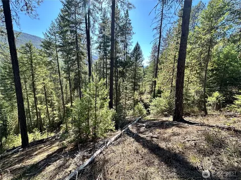 4 Lot 4 Deadman Creek Rd, Kettle Falls, WA 99141 photo 11