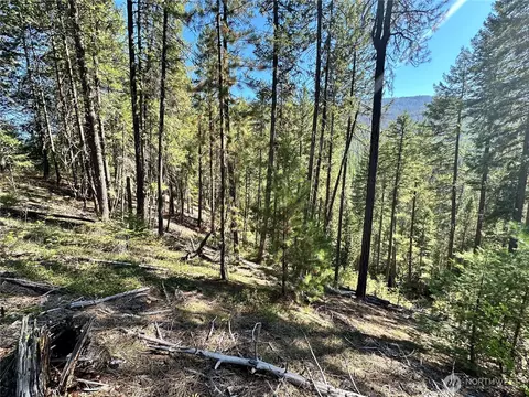 4 Lot 4 Deadman Creek Rd, Kettle Falls, WA 99141 photo 10