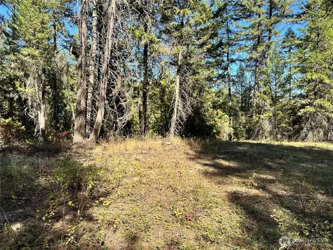 4 Lot 4 Deadman Creek Rd, Kettle Falls, WA 99141 photo 13