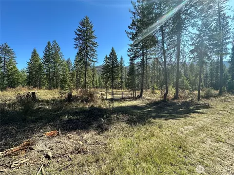 4 Lot 4 Deadman Creek Rd, Kettle Falls, WA 99141 photo 6