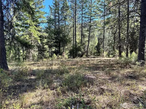 4 Lot 4 Deadman Creek Rd, Kettle Falls, WA 99141 photo 12