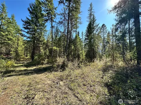 4 Lot 4 Deadman Creek Rd, Kettle Falls, WA 99141 photo 8