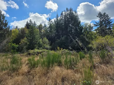400 Marion St S, Tenino, WA 98589