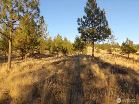 0 Tbd Bear Camp Rd, Tonasket, WA 98855