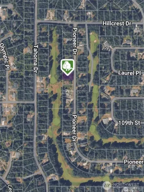 10702 Pioneer Dr, Anderson Island, WA 98303