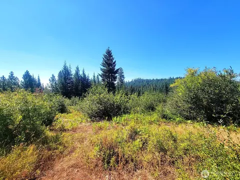 0 Lot 1 Simcoe Mountain Reserve, Goldendale, WA 98620